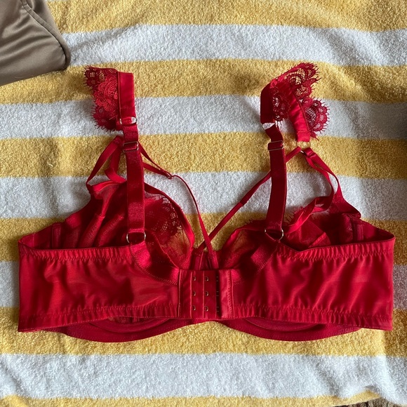 Playful Promises Anneliese Red Satin Net and Lace Bra - Picture 3 of 3